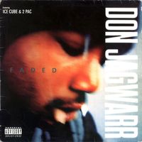Don Jagwarr - Faded