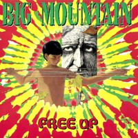 Big Mountain - Free Up