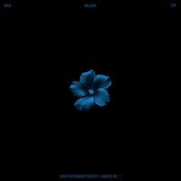 도끼 [Dok2] - 808 Hi Recordings Presents: Hibiscus, Vol. 1