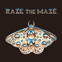 Raze The Maze - Raze the Maze