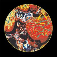 Transonic - Virtual Current