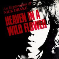 Nick Drake - Heaven in a Wild Flower