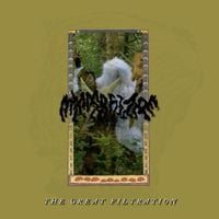 Mycorrhizae - The Great Filtration