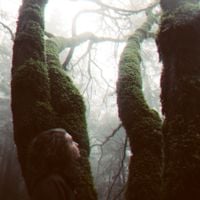 CharlestheFirst - Running Through the Forest
