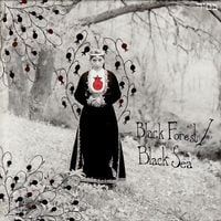 Black Forest / Black Sea - Black Forest / Black Sea