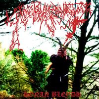 Ynkleudherhenavogyon - Honan Bleydh