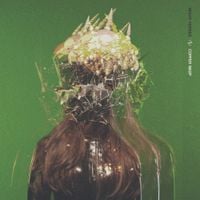 Night Verses - Copper Wasp