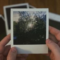 Vines - Birthday Party