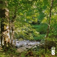 nishith & Quedronol - poison ivy (nothing to me)