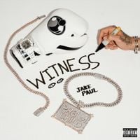 Jake Paul - Witness