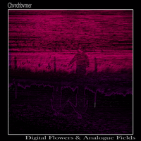 Chvrchbvrner - Digital Flowers & Analogue Fields