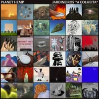 Planet Hemp - JARDINEIROS: A COLHEITA