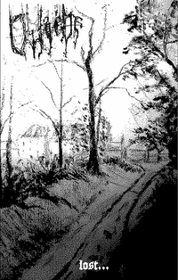Old Woods - Lost...