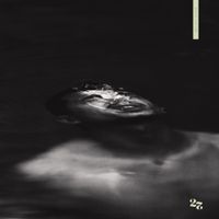 Jonas Sanche - 27