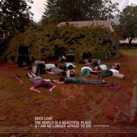 Deer Leap / The World Is A Beautiful Place & I Am No Longer Afraid To Die - Are Here to Help You