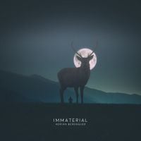 Adri&aacute;n Berenguer - Immaterial