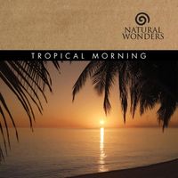 David Arkenstone - Tropical Morning