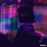 Deafvoice - In Your Arms, I Cry Hoping This Dream Never Ends