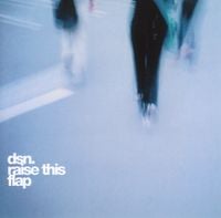 Deep Space Network - Raise This Flap
