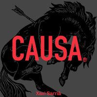 Xavi Sarri&agrave; - Causa