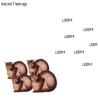 4cat - 4cat and 7 leers ago