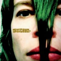Superchunk - Misfits & Mistakes: Singles, B-sides & Strays 2007&ndash;2023