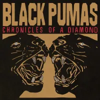 Black Pumas - More Than a Love Song