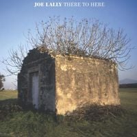Joe Lally - There To Here