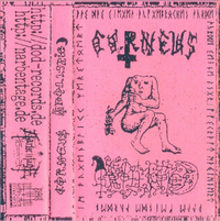 Grollfried - Corneus / Grollfried