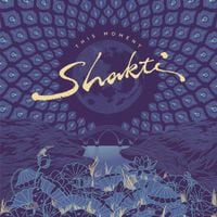 Shakti with John McLaughlin - This Moment