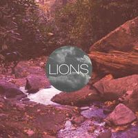 Lions - MTNZ
