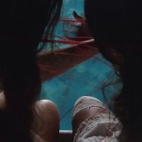 Farmer's Wife - Pool Song/Bleeder