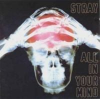 Stray - All in Your Mind