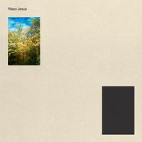 The Callous Daoboys - Waco Jesus