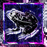 Toadmilk - breakcore is a good way to get laid