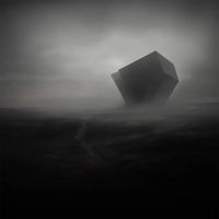 No Signal - Distorted Reality