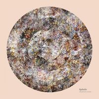 Hjaltal&iacute;n - Sleepdrunk Seasons