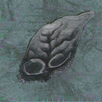 plantoid - Dog's Life