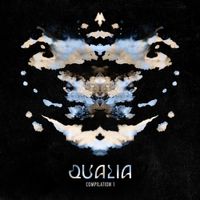 Various Artists - Qualia Compilation 1