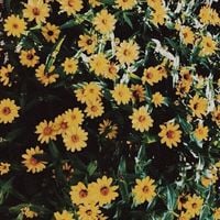 Loveisheavenly - But Just Know That I Did Love You, With Everything I Possibly Had