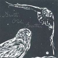 Breathe Owl Breathe - The Fall Album