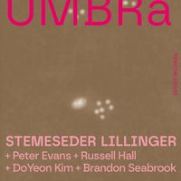 Stemeseder Lillinger Quartet - Umbra