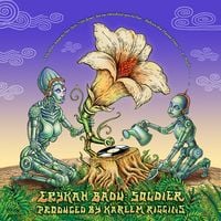 Erykah Badu - Soldier