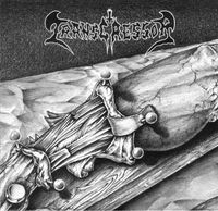 Transgressor - Recollected Limbs