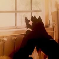 Vania Junco - Say I Haven't Lost It All