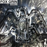 Fox Grin - Animals