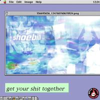 Shoebill - get your shit together