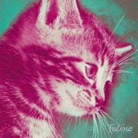 Heathermint - Feline