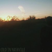 Ari Bradshaw - Cold in Nashville