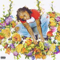 Kodie Shane - Sounds 432 (Last Chance to Dance)